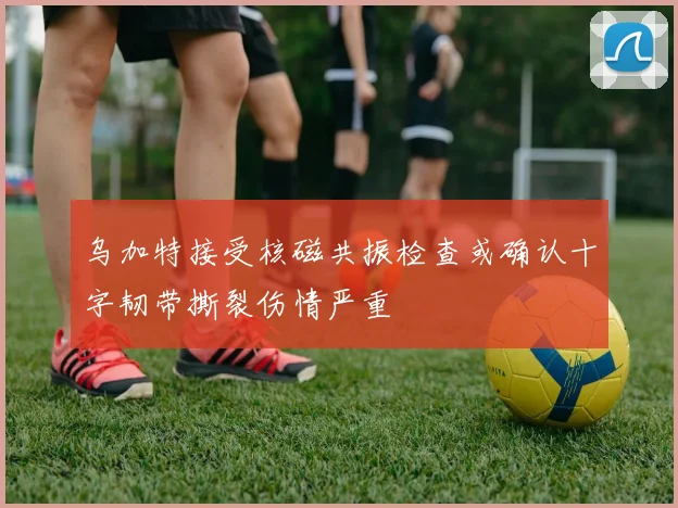 乌加特接受核磁共振检查或确认十字韧带撕裂伤情严重